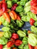 Un composant du piment pourrait devenir un allié minceur